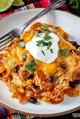 Crockpot Chicken Enchilada Casserole