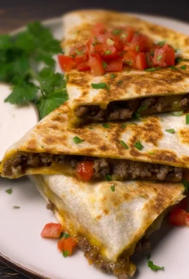 Beef & Cheese Quesadilla