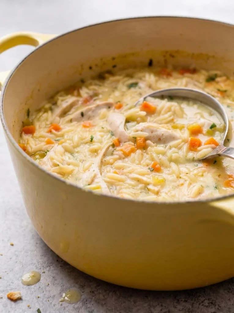 Chicken Orzo Soup
